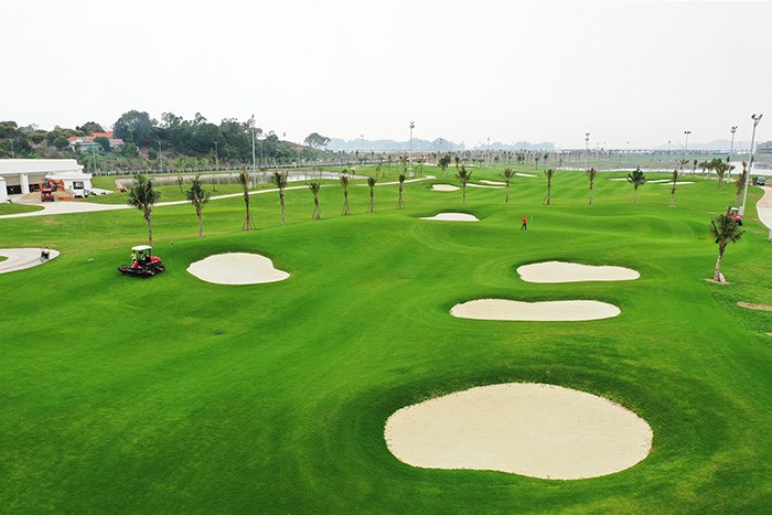 Tuan Chau Golf Resort image 3